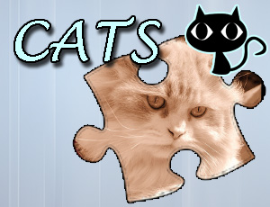 Układanka Puzzle: Koty